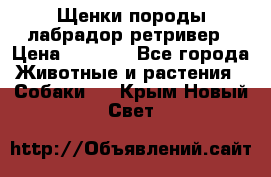 Щенки породы лабрадор ретривер › Цена ­ 8 000 - Все города Животные и растения » Собаки   . Крым,Новый Свет